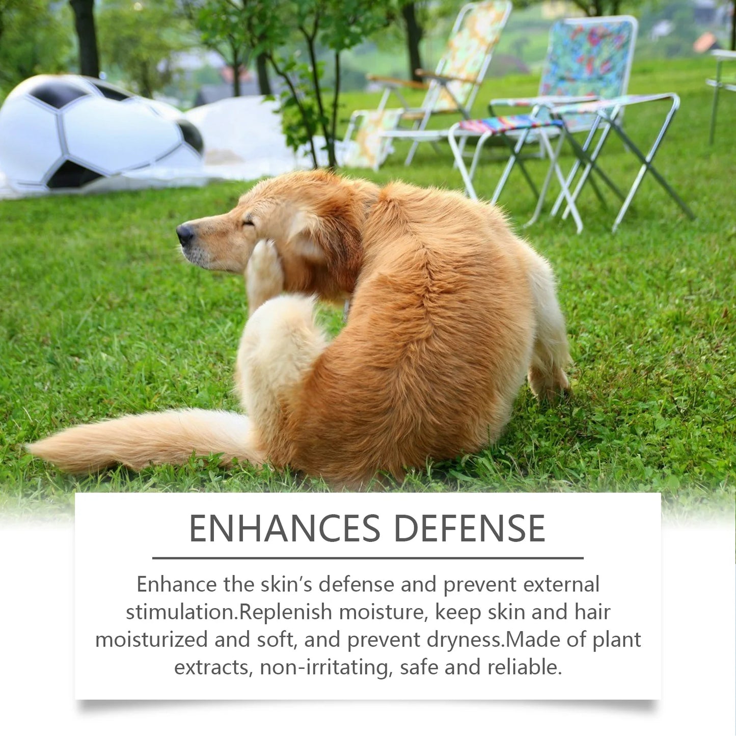 Hydrating Itch Relief Dog Shampoo (100 ml)