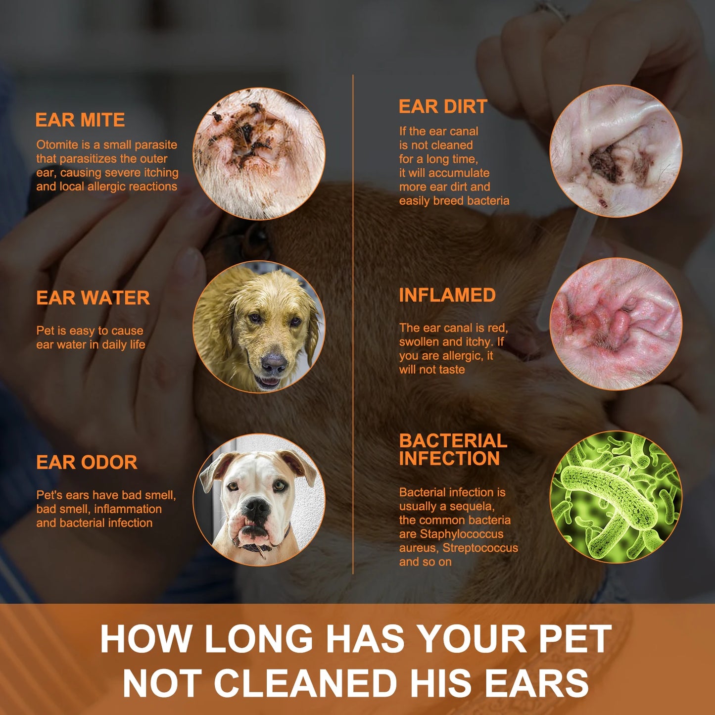 Cat and Dog Ear Cleaner with Swabs