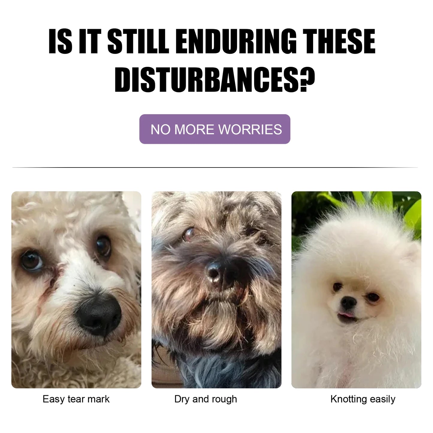 Pet Hair Care, Dry Skin Conditioner