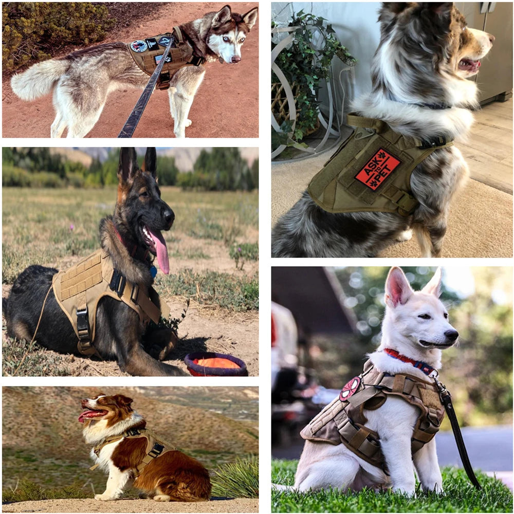 Tactical Training Harness and Accessories for Dogs