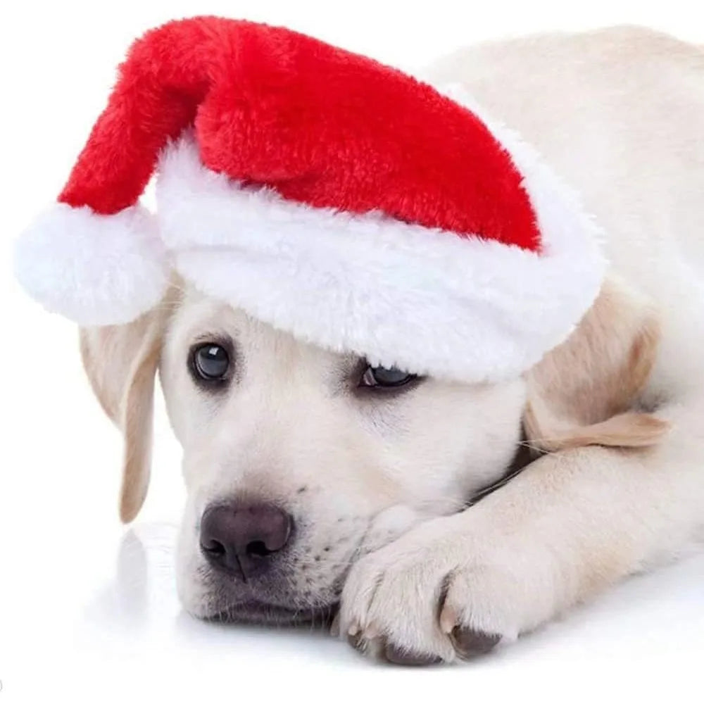 Charming Festive Christmas Hat for Pets