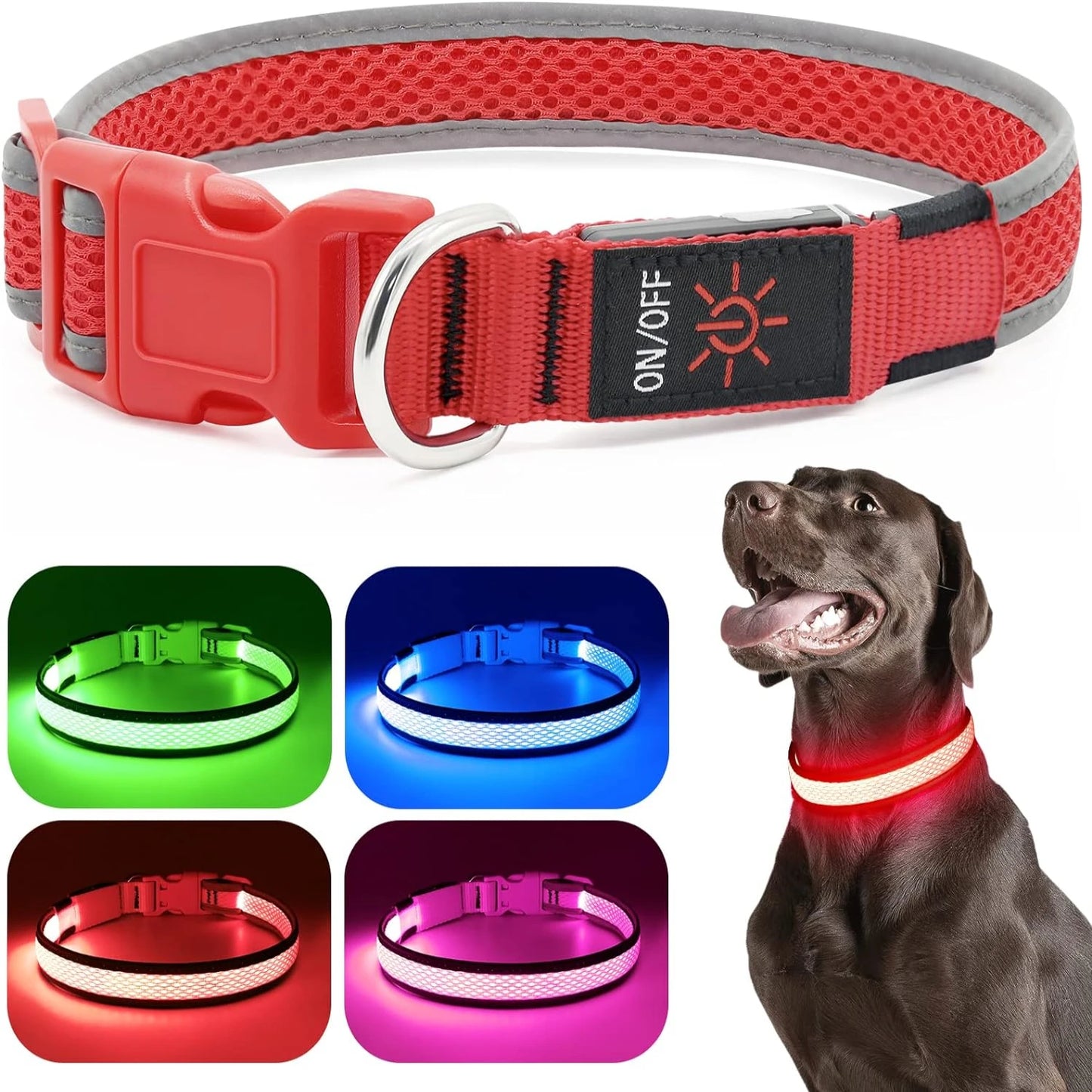USB Rechargeable Light Up Dog Collar