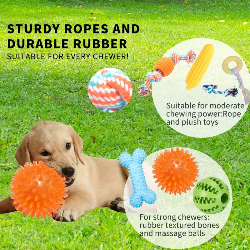 Dog Toy Variety Pack, 18 Count