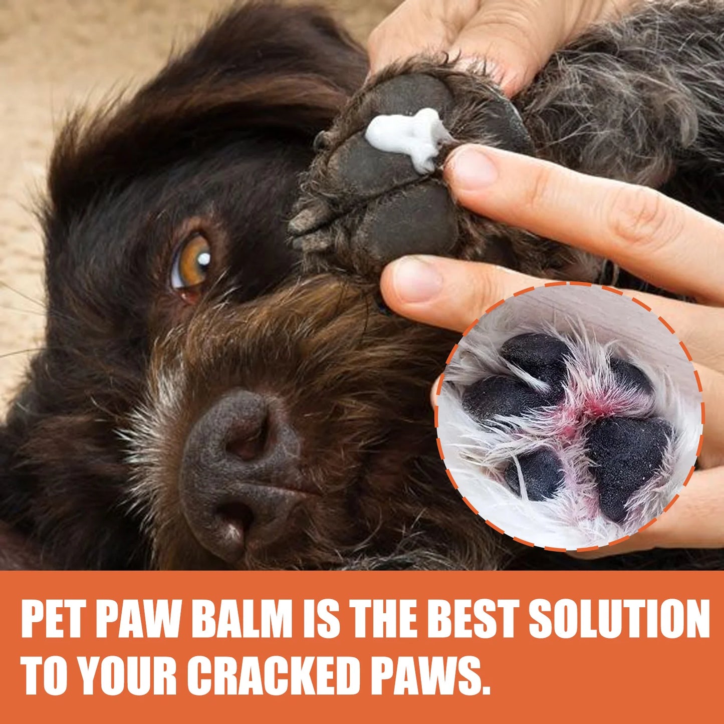 Moisturizing Natural Ingredient Chapped Paw Cream