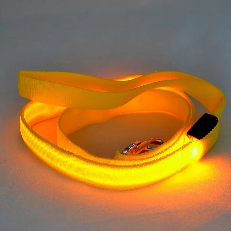 LED Rechargeable Luminous Lead Rope for Dogs