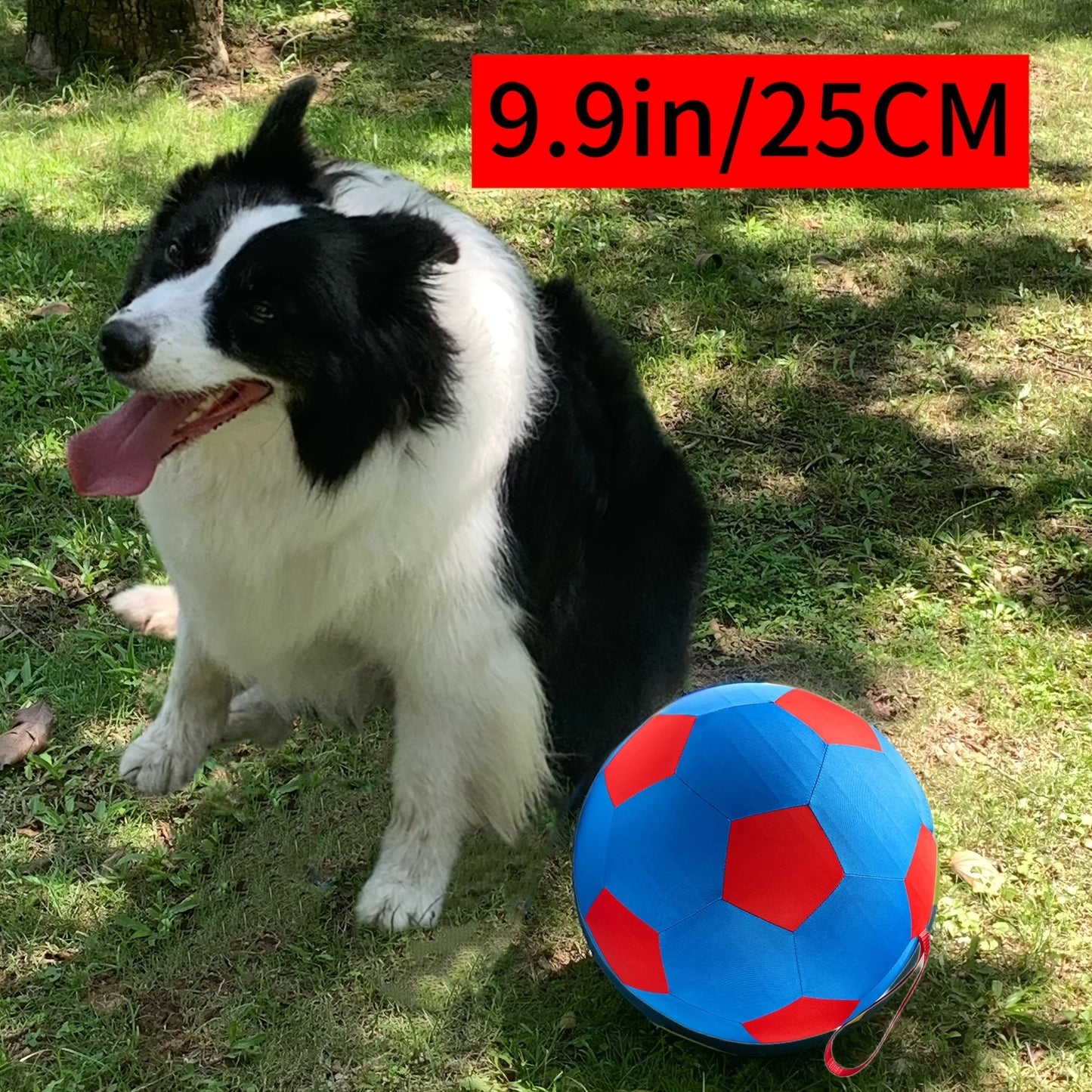 Thickened Oversized Explosion Proof Ball for Dogs
