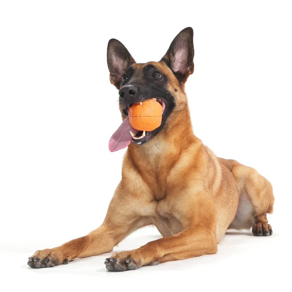Orange Rubber Ball Chew Toy for Dogs
