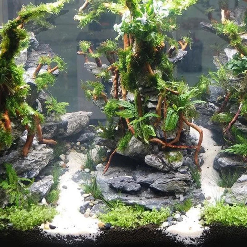 DIY Natural Driftwood Fish Tank Landscape