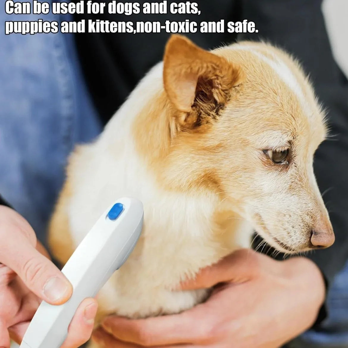 Flea Removal Device Suitable for Dogs and Cats