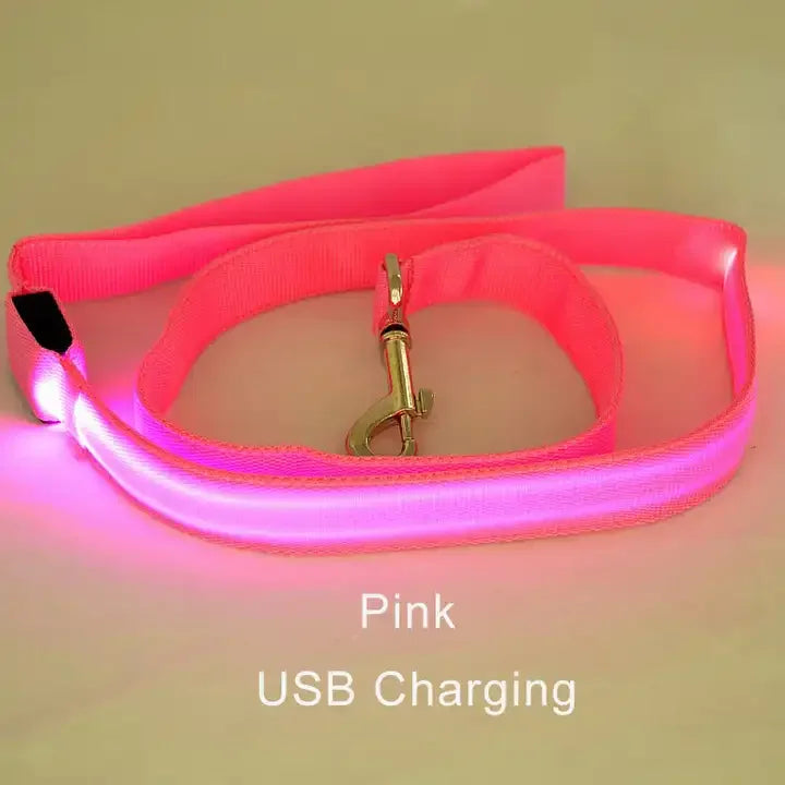 LED Rechargeable Luminous Lead Rope for Dogs