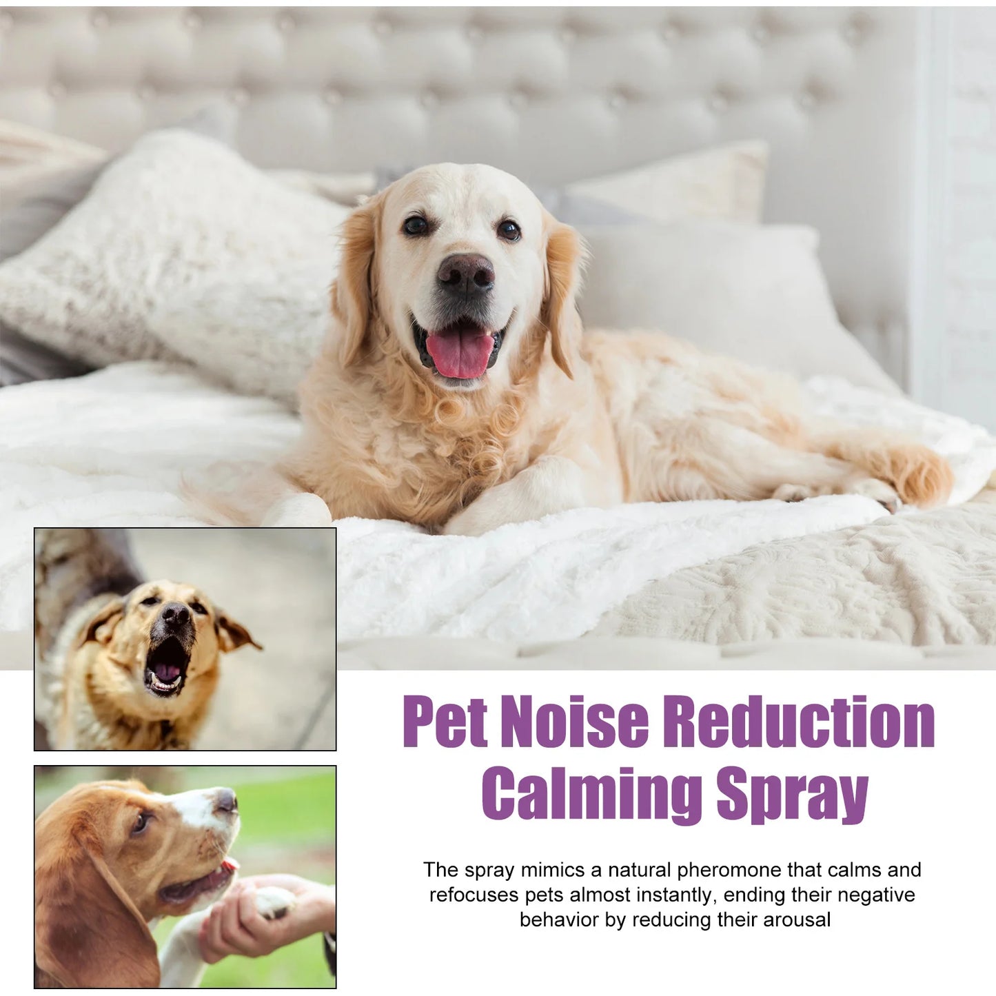 Nervous Relief Mood Sedation Spray for Dogs