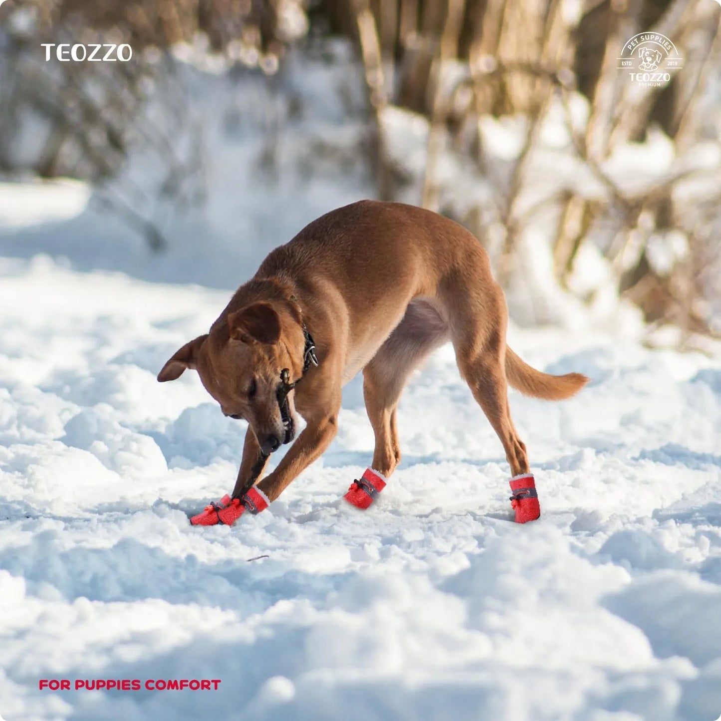 Adjustable Soft -Soled Breathable Shoes for Dogs