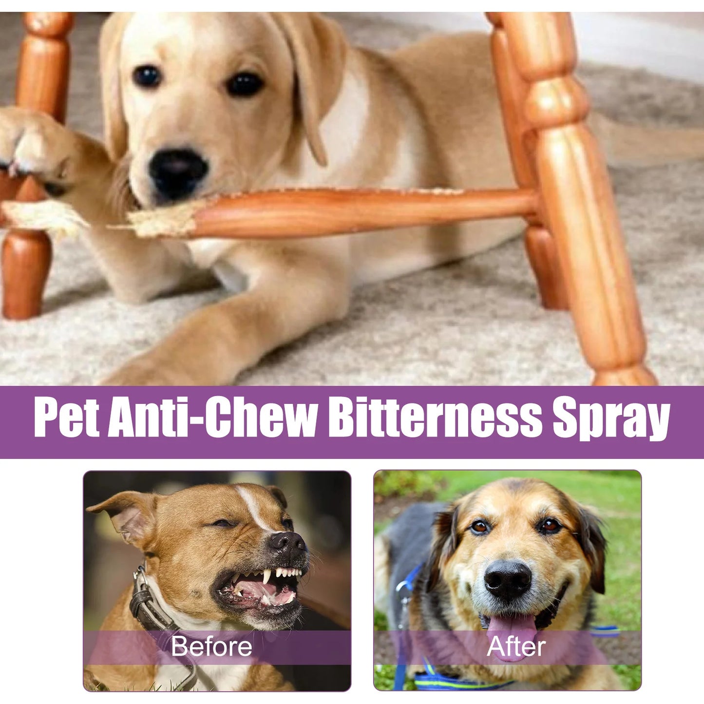 Nervous Relief Mood Sedation Spray for Dogs