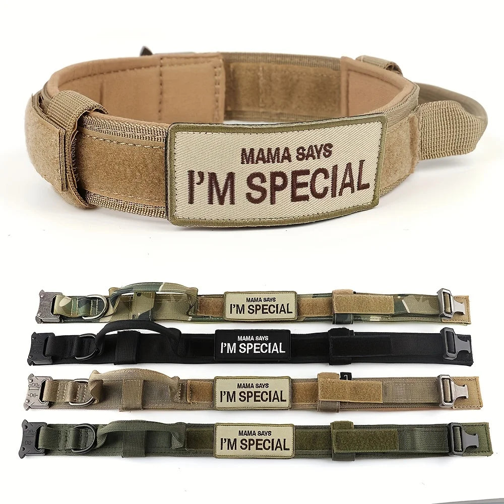 Tactical Training Harness and Accessories for Dogs