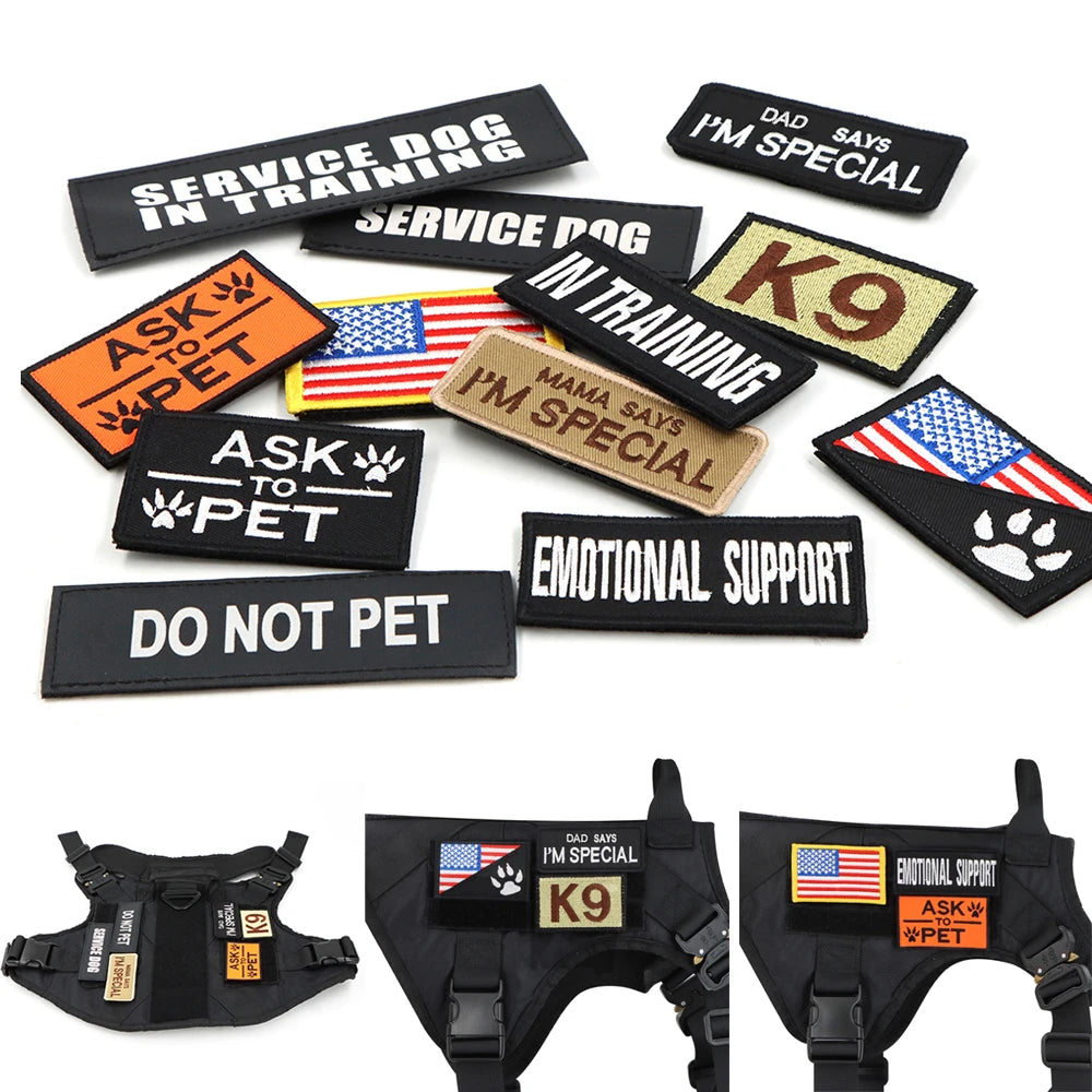 Tactical Training Harness and Accessories for Dogs