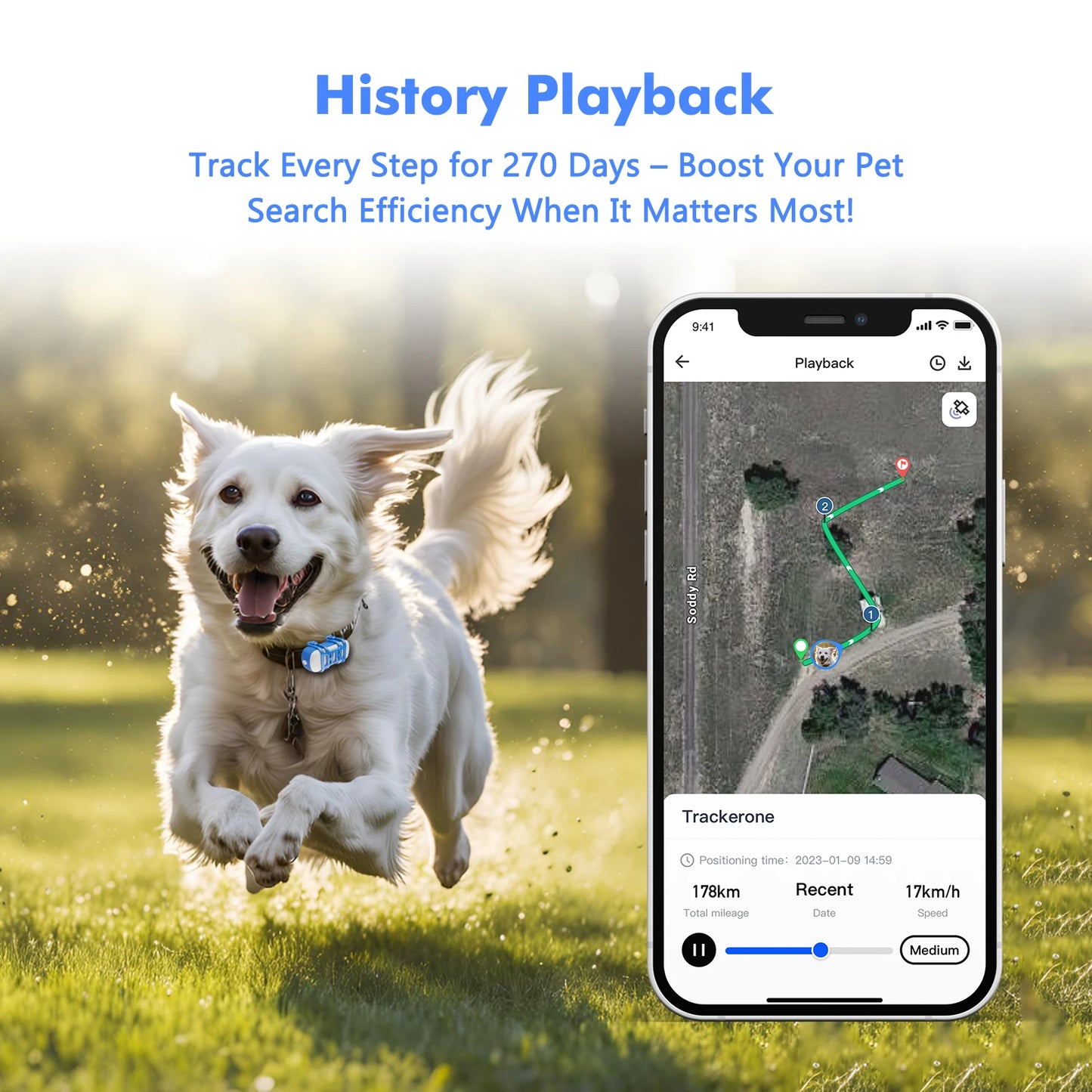 4G Waterproof GPS Pet Locator, Live Tracking with App Subscription