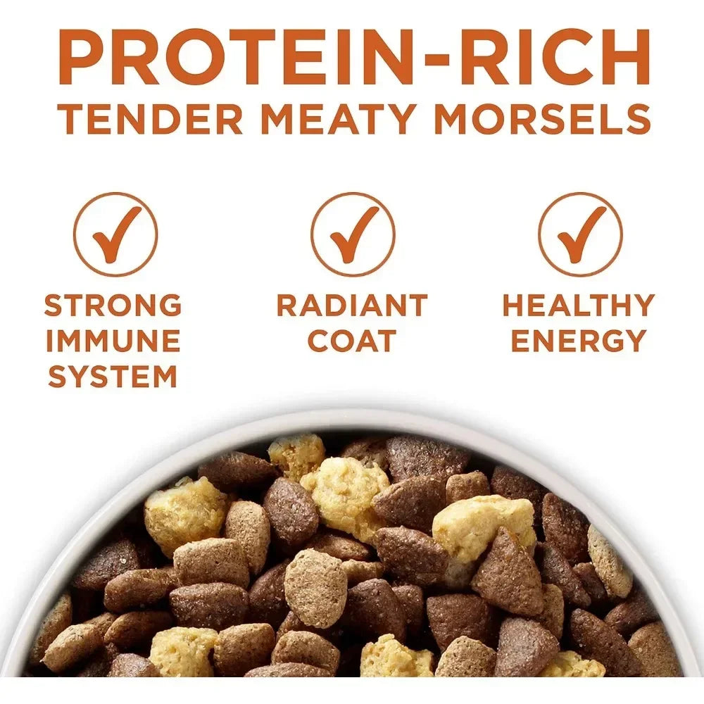 Healthy High-Protein Dog Food Dry Formula - 40 lb. Bag