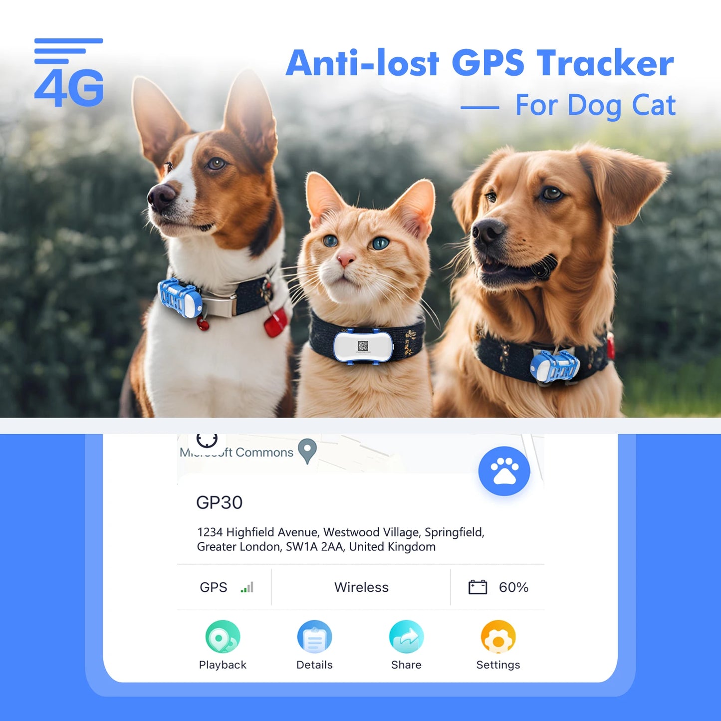 4G Waterproof GPS Pet Locator, Live Tracking with App Subscription