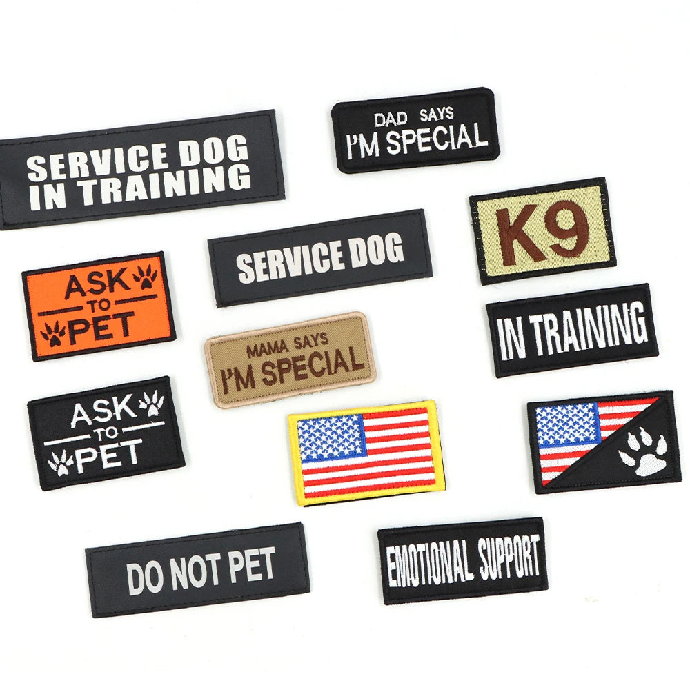 Tactical Training Harness and Accessories for Dogs