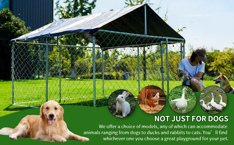 Heavy Duty Outdoor Pet Enclosure with Secure Lock (6.56‘x 6.56’)