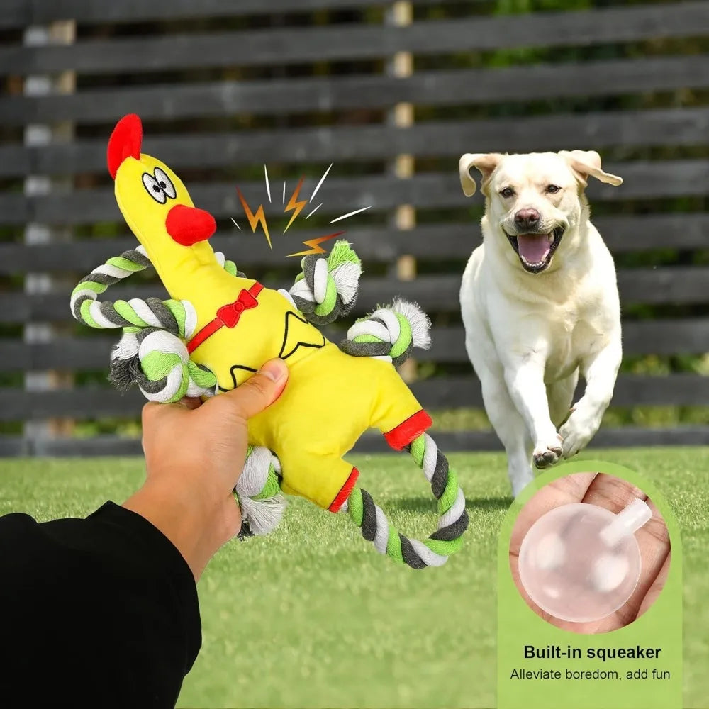 Squeaky Plush, Tug of War Dog Toy