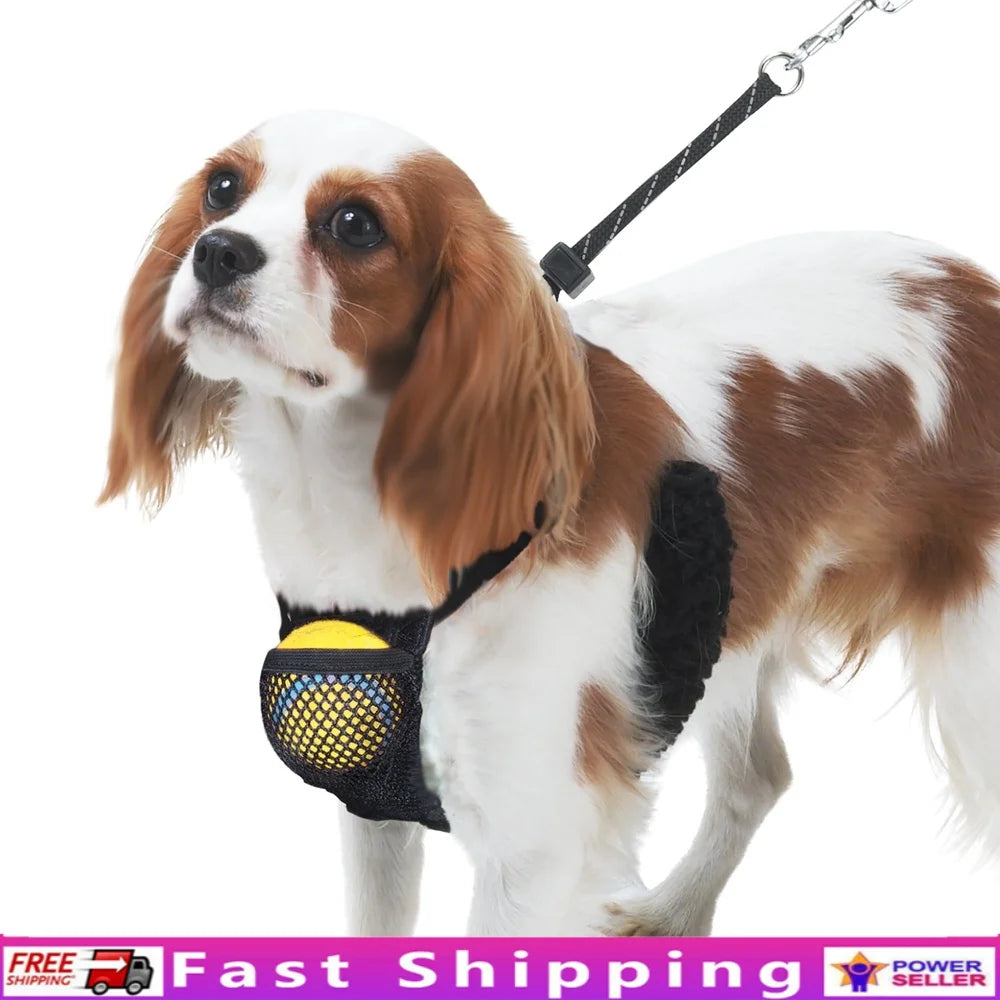 Non-Pulling Dog Harness with Storage Pouch, Adjustable and Reflective