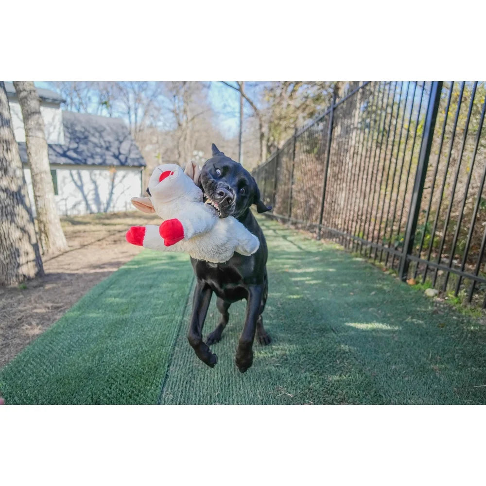 Jumbo Lamb Chop Squeaker Toy for Dogs