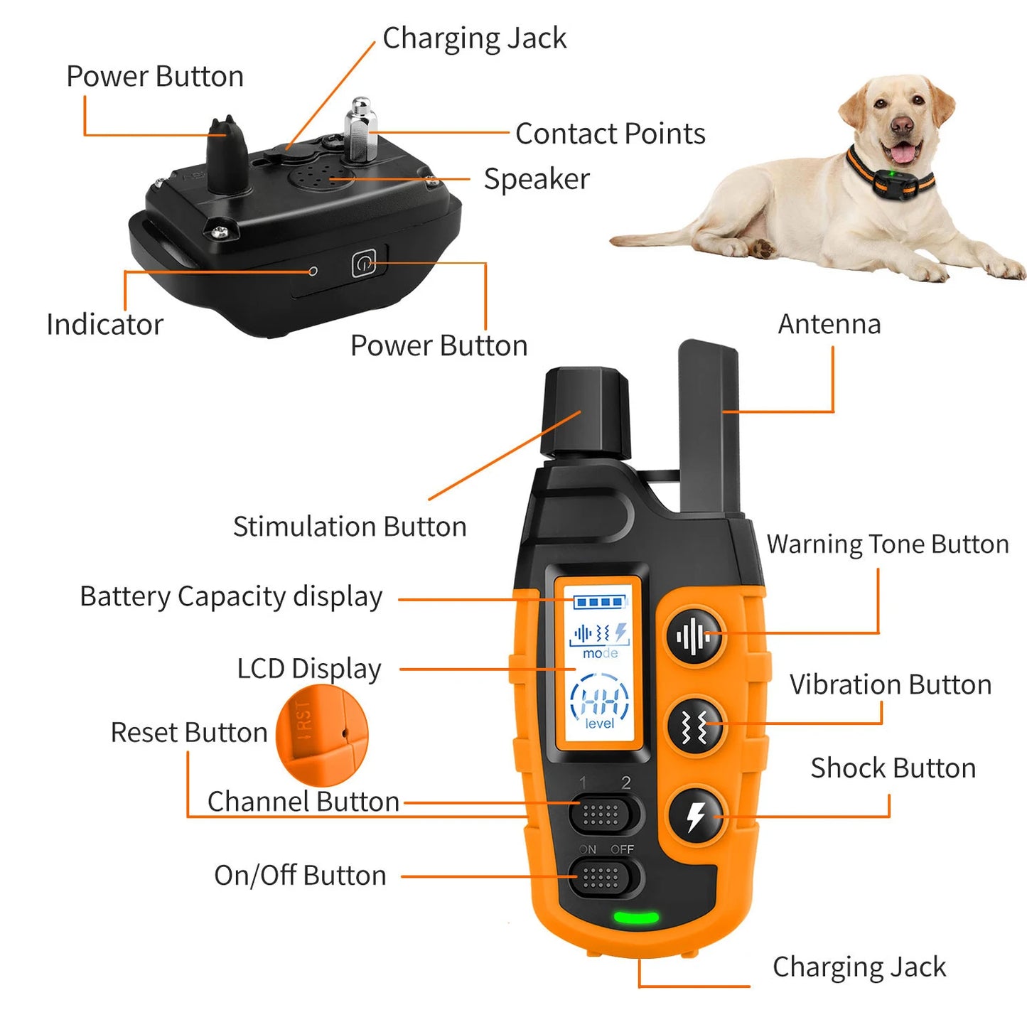 Remote Control Waterproof Training Collar (3300 ft)