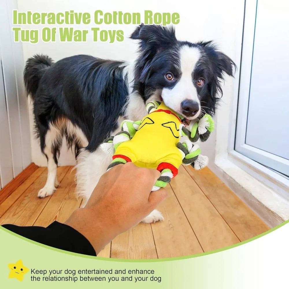 Squeaky Plush, Tug of War Dog Toy