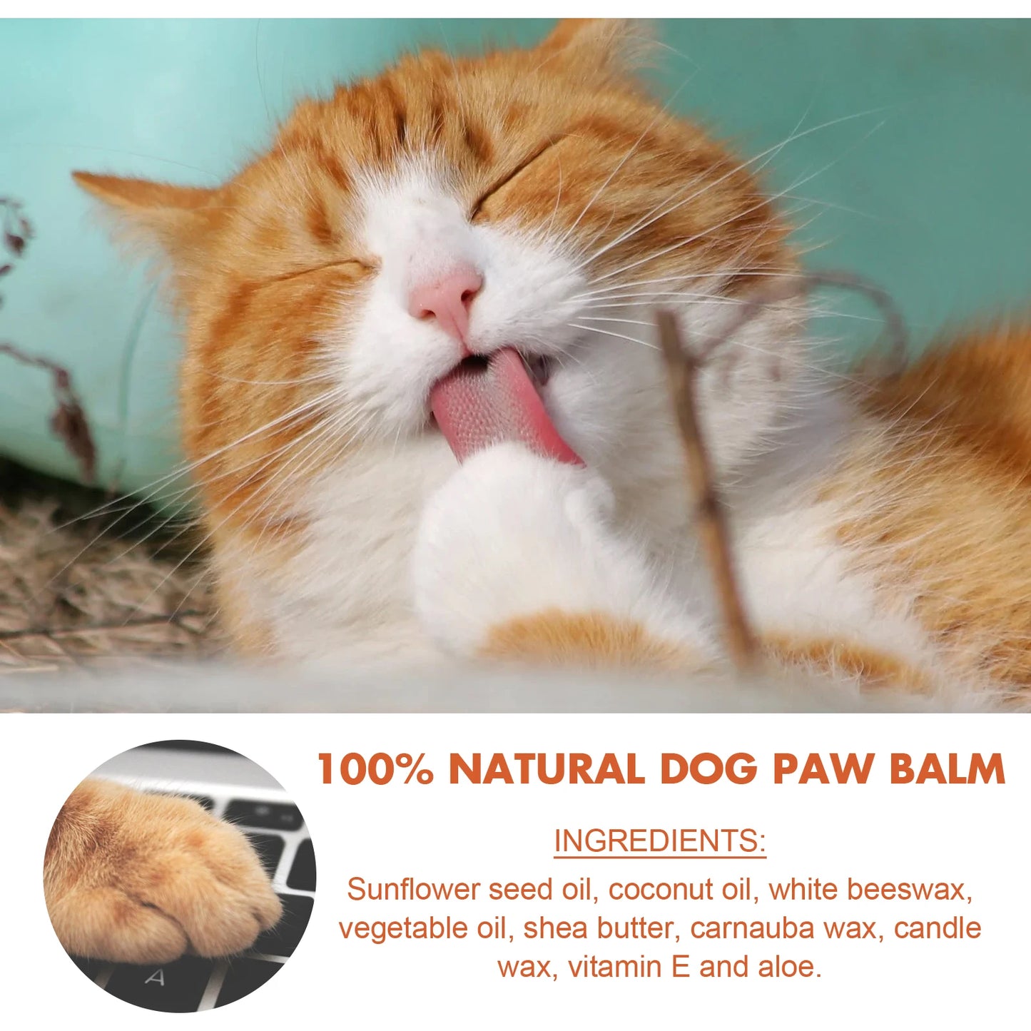 Nose and Paw Balm for Dogs and Cats