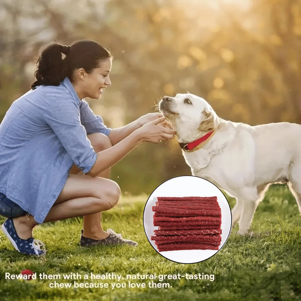 Natural Easy to Digest Beef Stick Dog Treats
