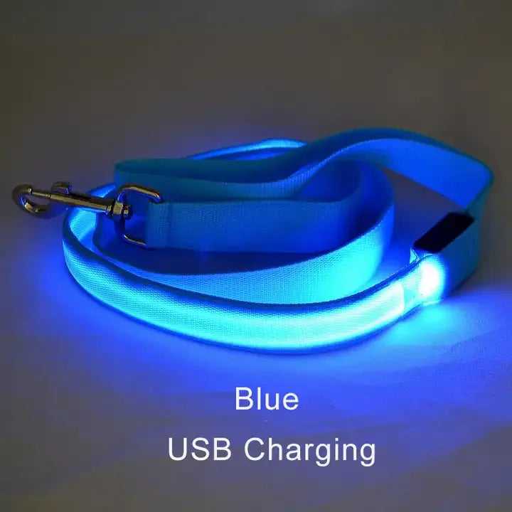 LED Rechargeable Luminous Lead Rope for Dogs