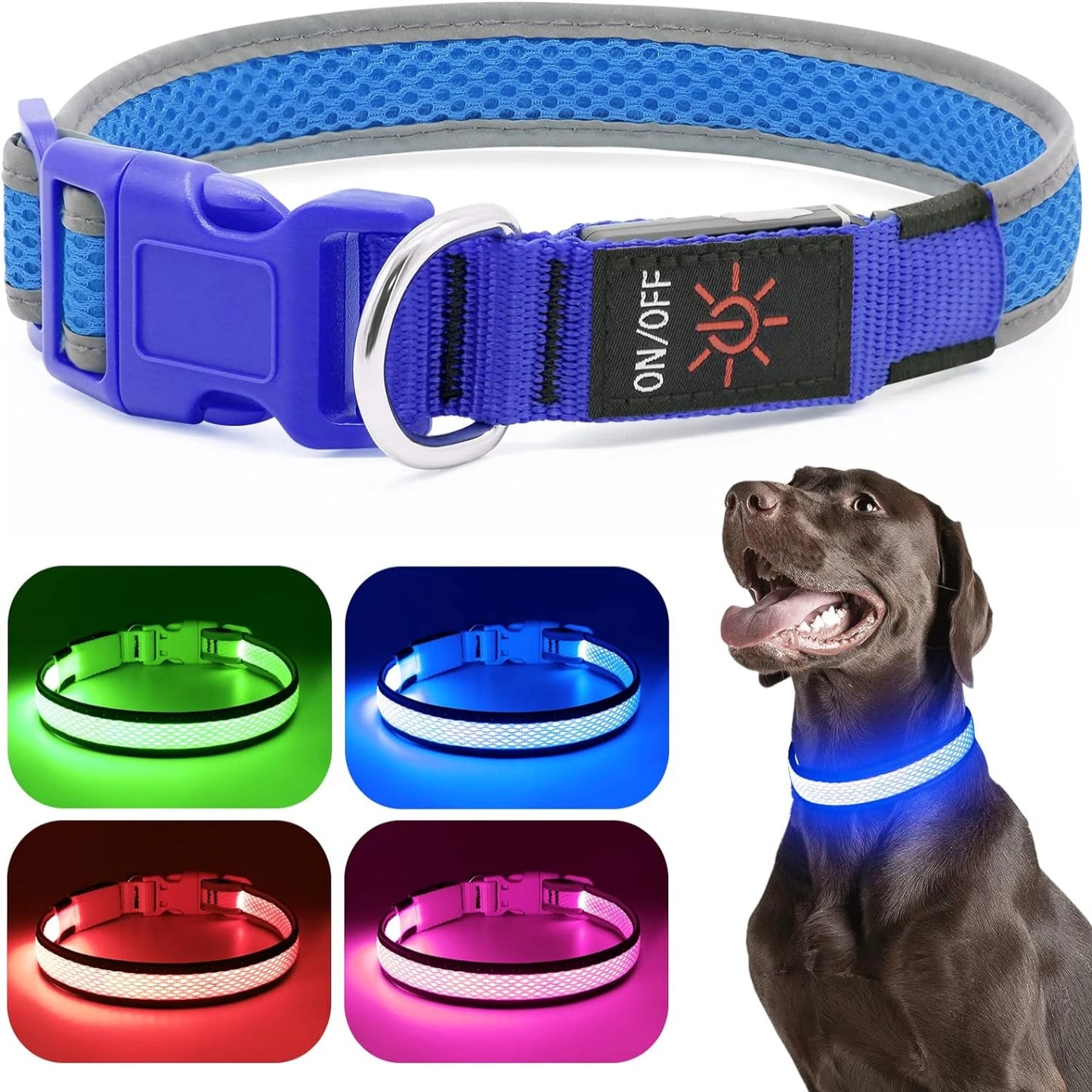 USB Rechargeable Light Up Dog Collar