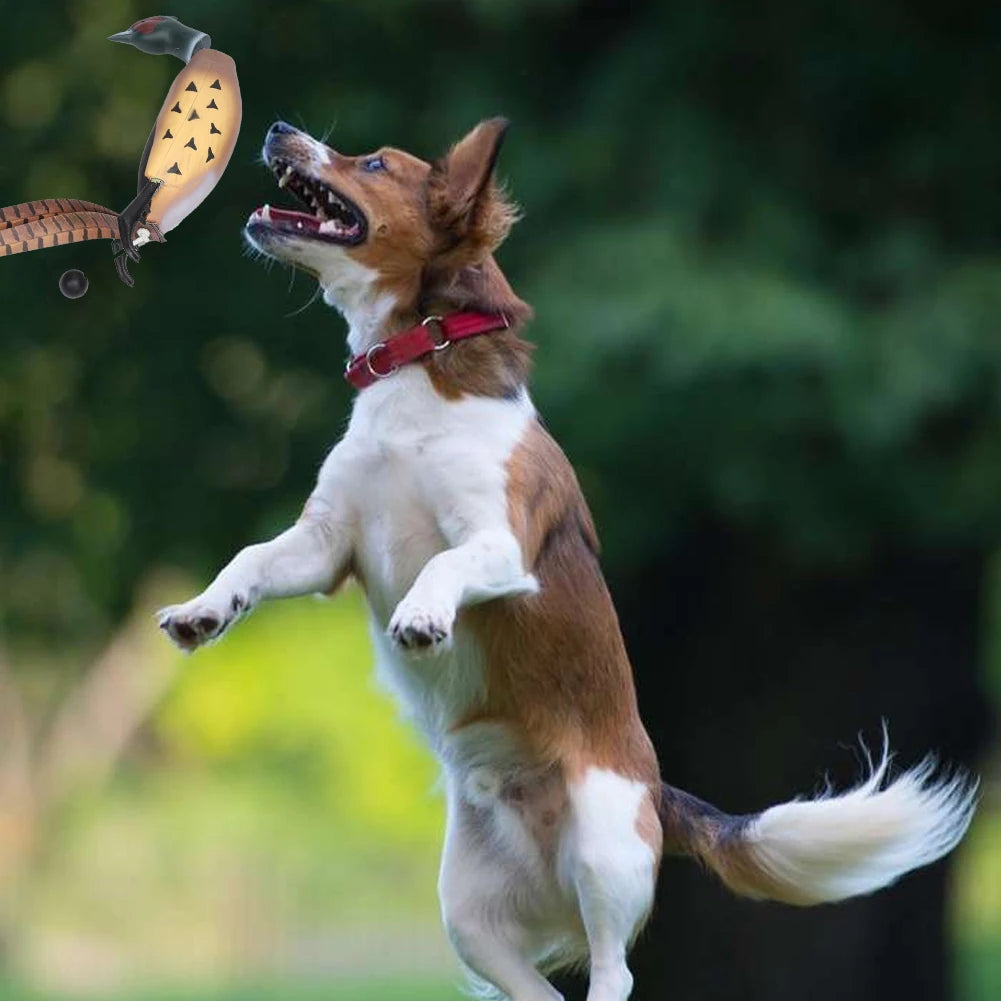 Pheasant Toy, Retrieval Training for Bird Dogs