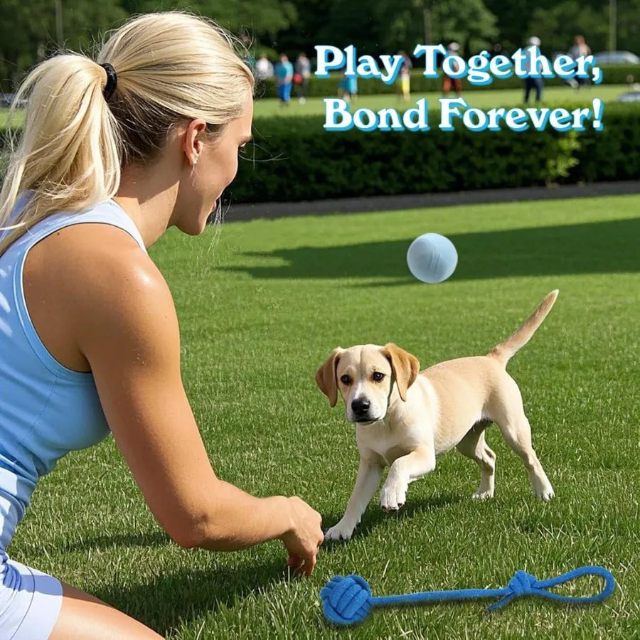 Small Breed 20pcs Dog Toys, Teething Rings and Ropes