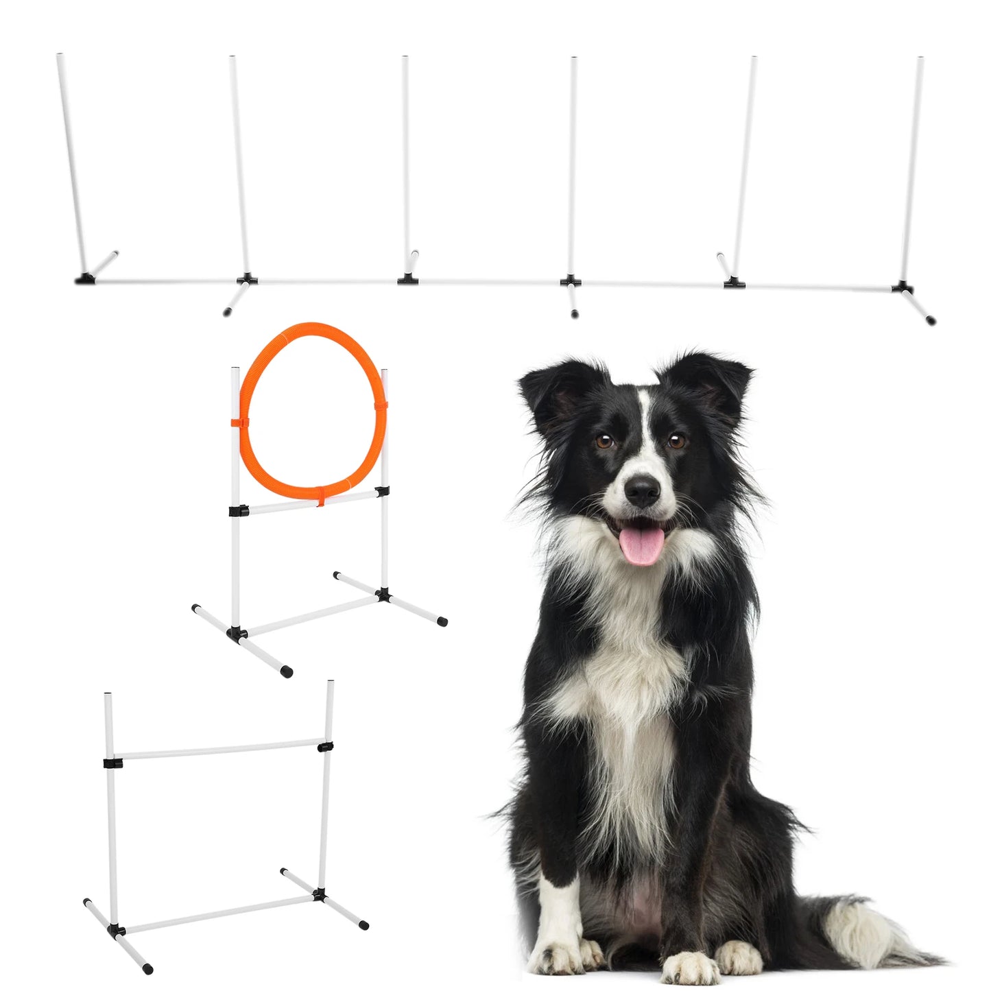 Adjustable Agility Dog Training Course Equipment