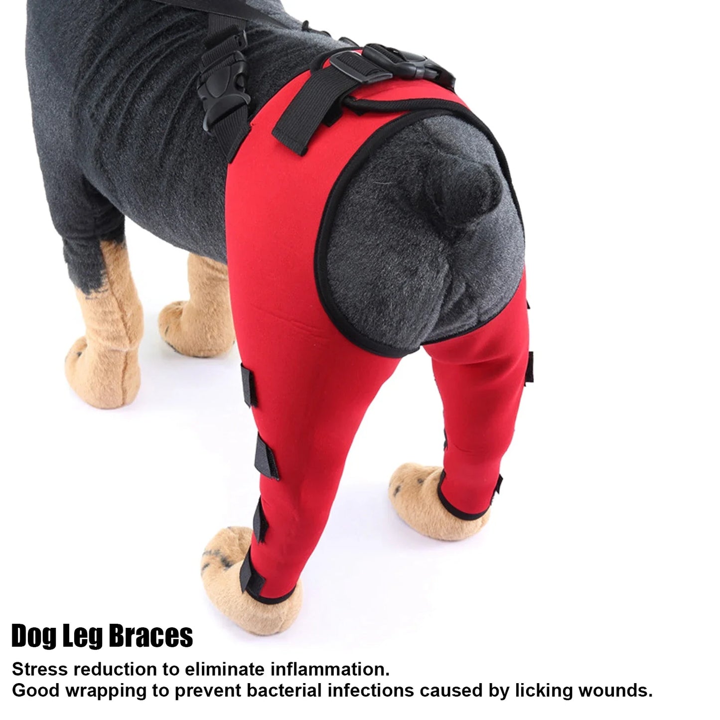 Canine Surgery Healing/Injury/Arthritis Leg Braces