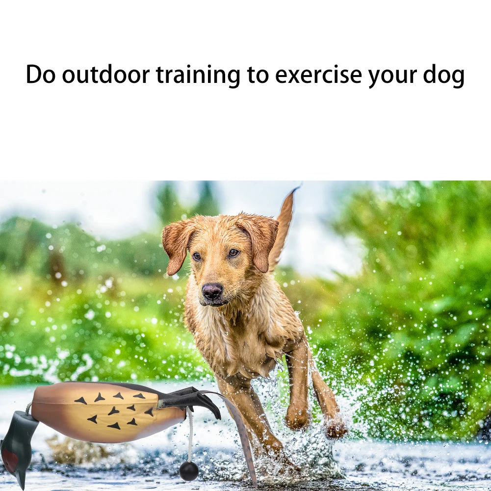 Pheasant Toy, Retrieval Training for Bird Dogs