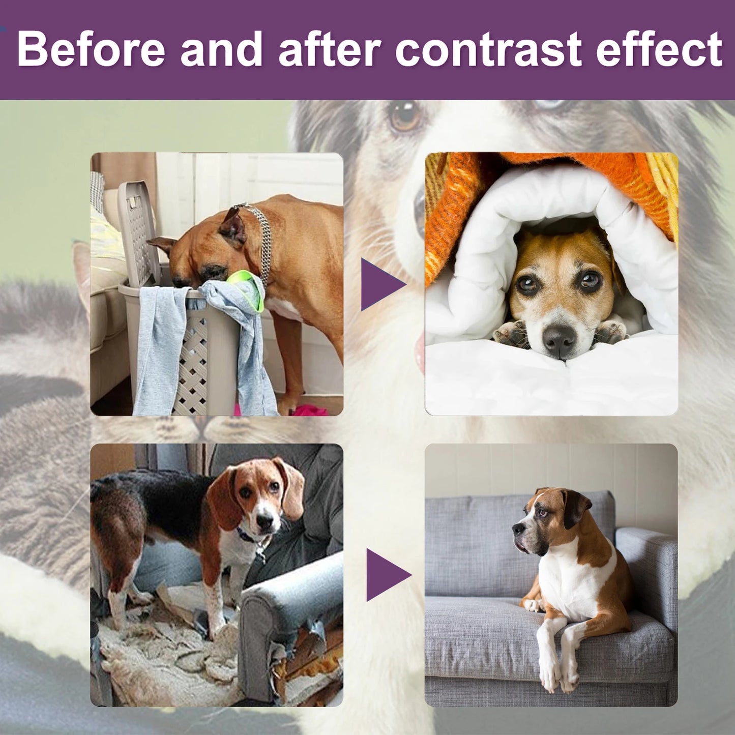 Bitterness Behavior Modification, Prevention Spray for Pets