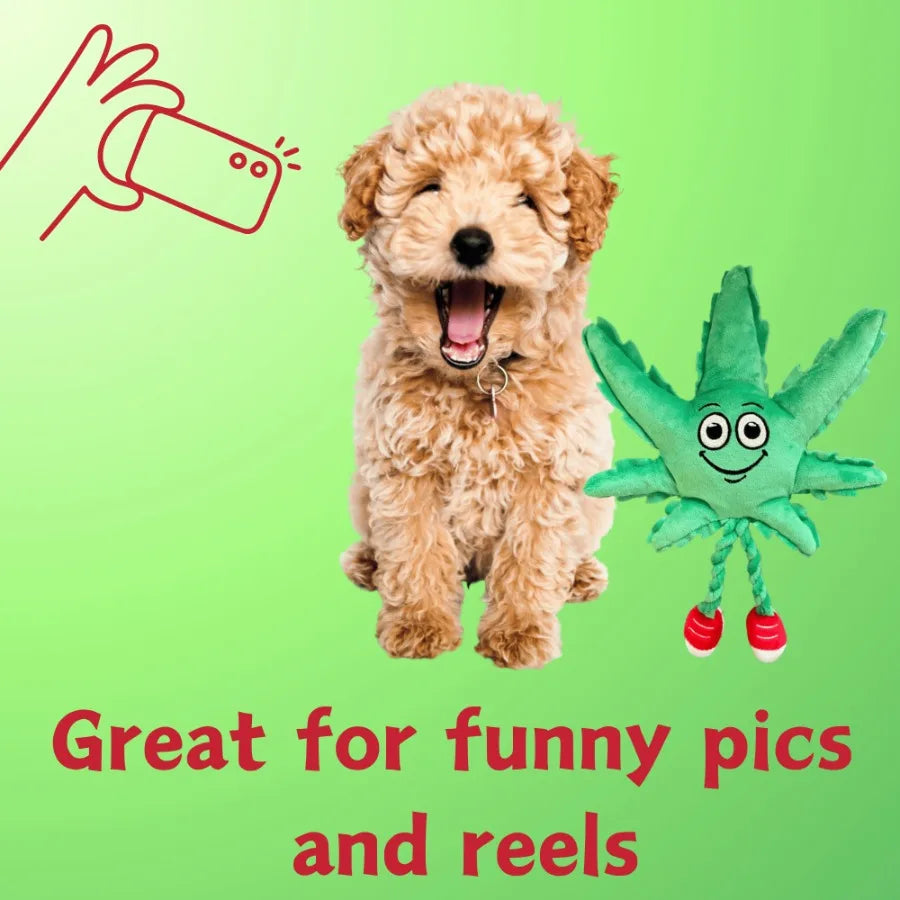 Funny Novelty Weed Leaf Squeaky Dog Toy