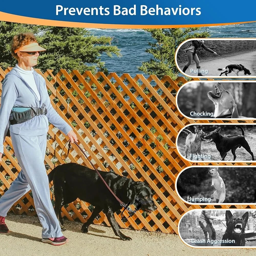 No Pull Head Collar Training Harness for Dogs