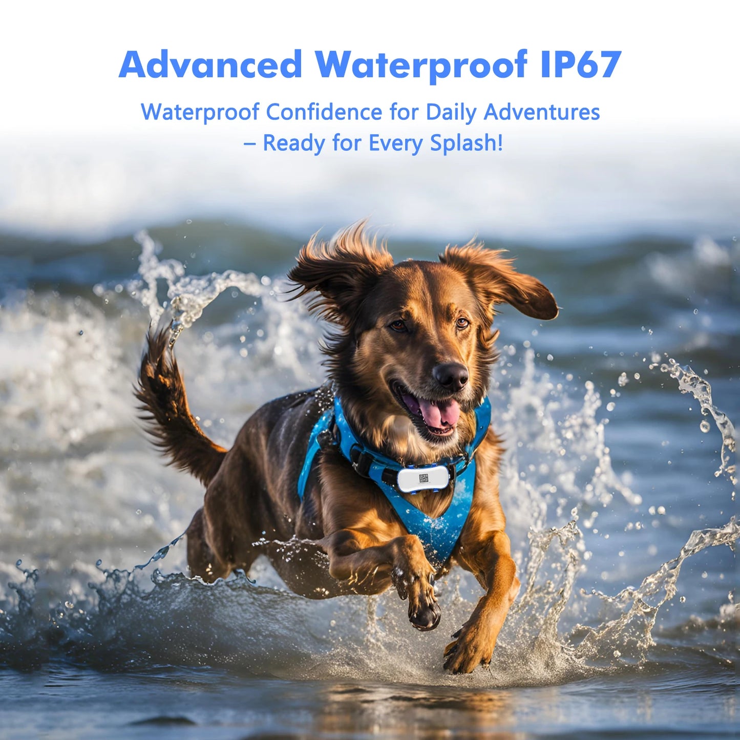 4G Waterproof GPS Pet Locator, Live Tracking with App Subscription