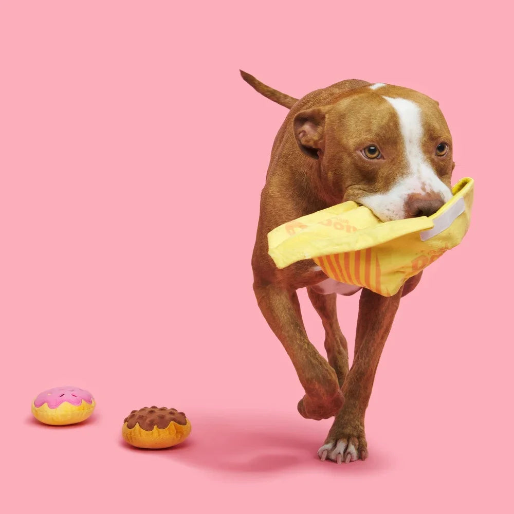 Plush Squeaky Donut Toy for Dogs