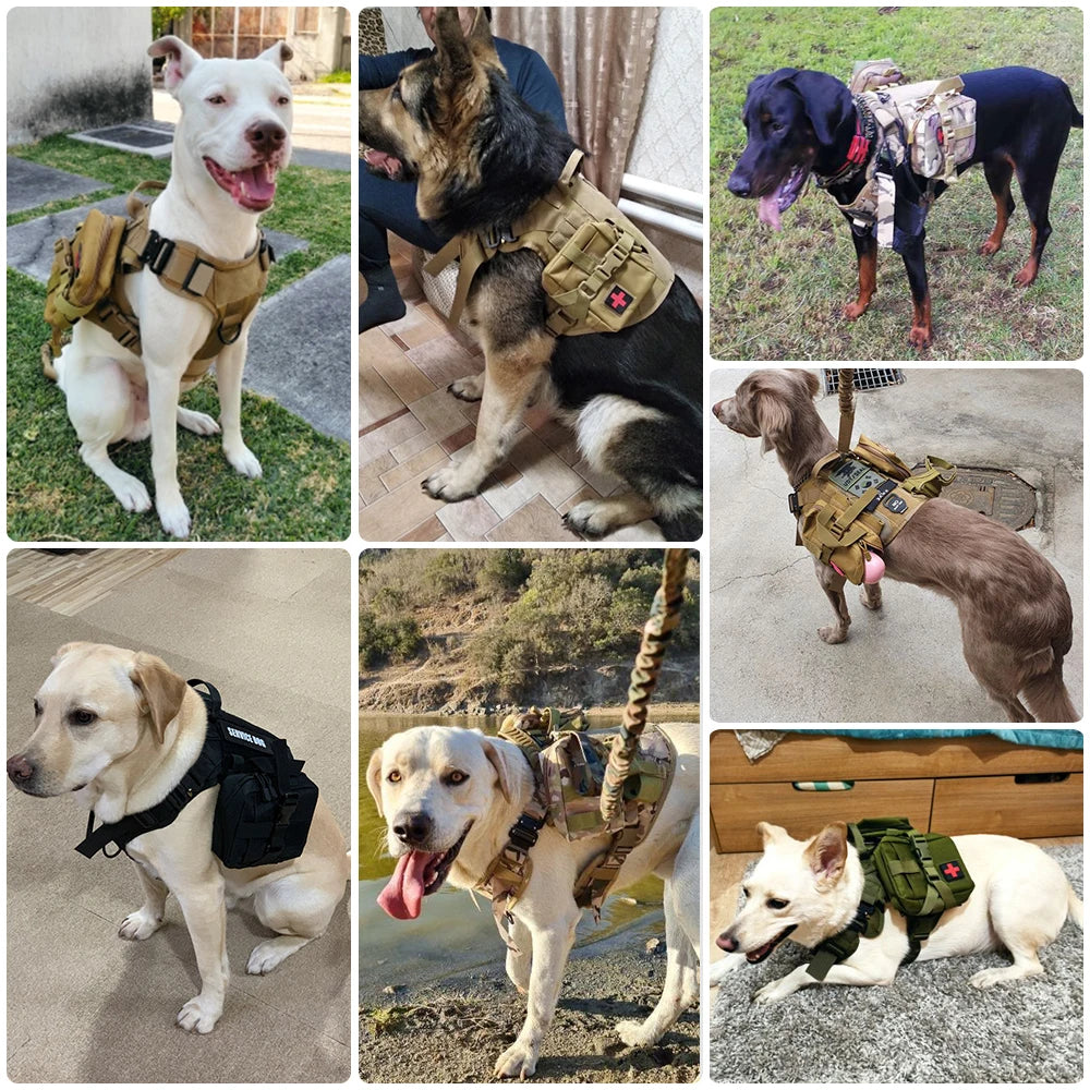 Tactical Training Harness and Accessories for Dogs
