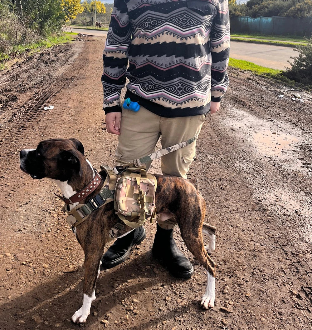 Tactical Training Harness and Accessories for Dogs