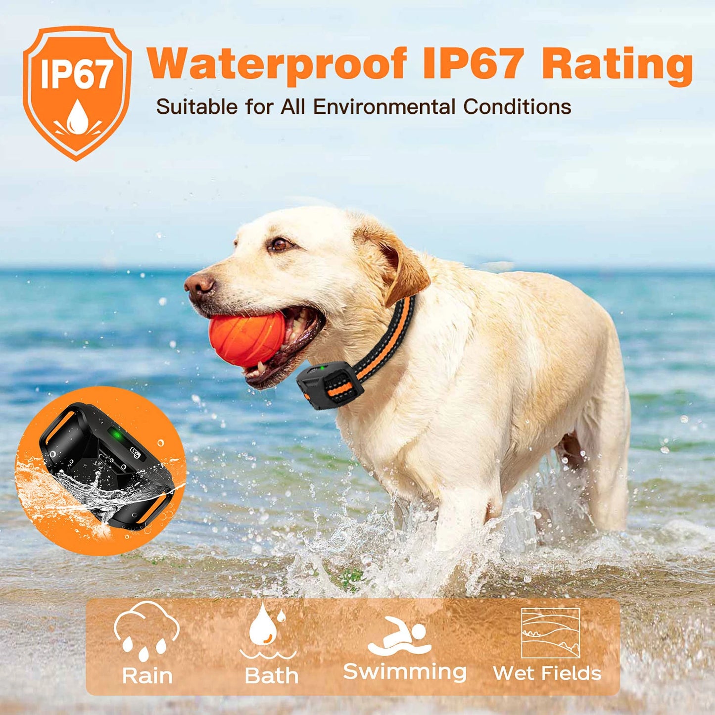 Remote Control Waterproof Training Collar (3300 ft)