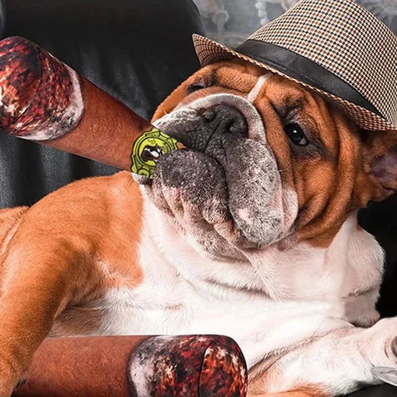 Funny Novelty Squeaky Cigar Toy for Dogs