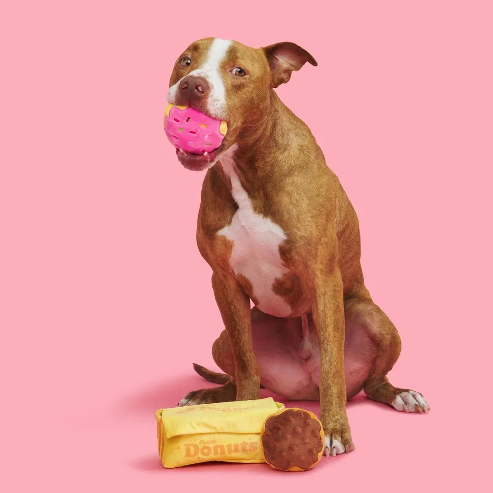 Plush Squeaky Donut Toy for Dogs