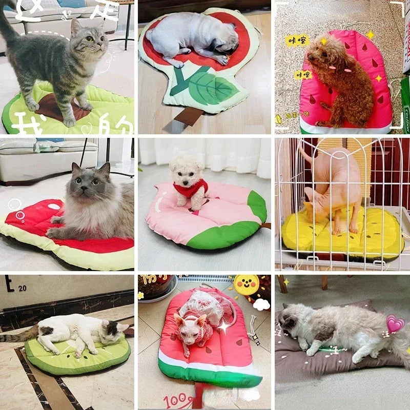 Summer Time Cooling Pad for Dogs