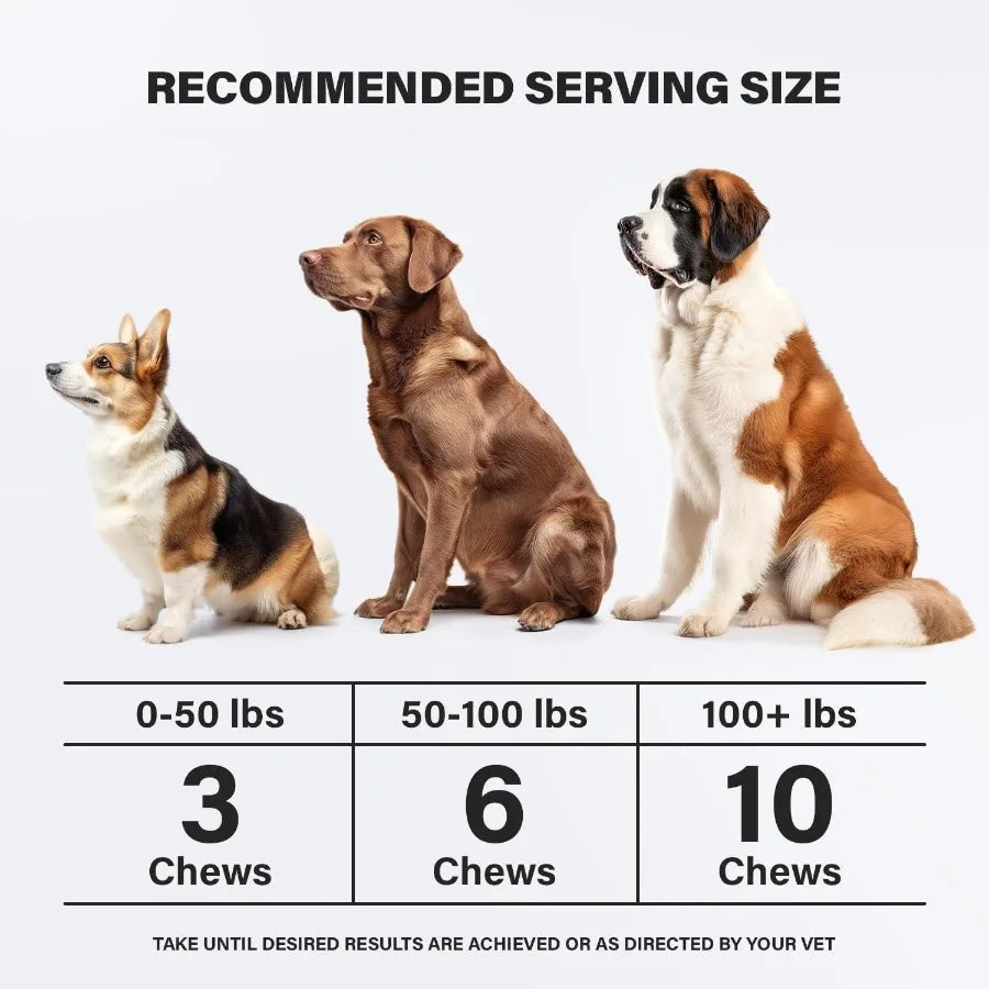 Calming Chews, Anxiety Relief for Dogs